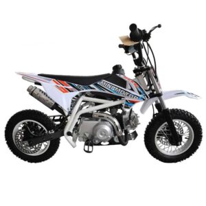 Tao Motor DB20 — 107cc Kids Gas Dirt Bike mississippipowersports