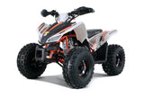 Trail Hawk Tao Tao 2023 – Youth ATV with Wireless Engine Shut Off & Disc Brakes mississippipowersports