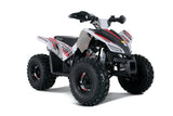 Trail Hawk Tao Tao 2023 – Youth ATV with Wireless Engine Shut Off & Disc Brakes mississippipowersports