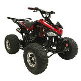 Coolster ATV-3125CX-3 – 125cc Youth ATV with Chrome Rims & Fully Automatic Transmission mississippipowersports