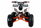 Coolster ATV-3125F – 125cc Fully Automatic ATV with LED Headlights & Reinforced Body mississippipowersports