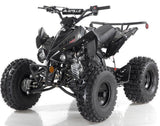 Apollo BLAZER 9 125cc ATV, 9" TIRE, Single Cylinder, Air Cooled, 4 Stroke mississippipowersports