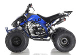 Apollo BLAZER 9 125cc ATV, 9" TIRE, Single Cylinder, Air Cooled, 4 Stroke mississippipowersports