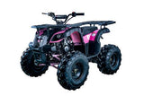 RIDER-10 125cc ATV, SINGLE CYLINDER,4 STROKE, AIR-COOLED mississippipowersports