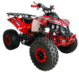 HHH 125cc ATV Quad Youth Utility Style ATV 125cc Fully Automatic w Reverse Gas ATV 4 Wheeler Big Tires19/ 18" mississippipowersports
