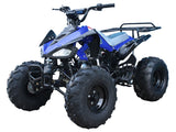 Tao Motor G125 (Cheetah) – 110cc Youth ATV with Reverse, Electric Start & Aggressive Tires mississippipowersports