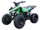 Tao Motor G125 (Cheetah) – 110cc Youth ATV with Reverse, Electric Start & Aggressive Tires mississippipowersports