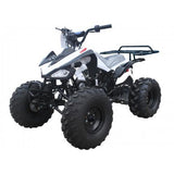 Tao Motor G125 (Cheetah) – 110cc Youth ATV with Reverse, Electric Start & Aggressive Tires mississippipowersports