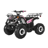 Coolster ATV-3125XR8-U/US – 125cc Utility ATV with Front & Rear Racks, Automatic Transmission mississippipowersports