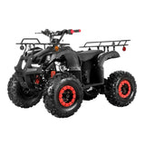 Coolster ATV-3125XR8-U/US – 125cc Utility ATV with Front & Rear Racks, Automatic Transmission mississippipowersports
