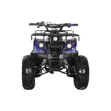 Coolster ATV-3125XR8-U/US – 125cc Utility ATV with Front & Rear Racks, Automatic Transmission mississippipowersports