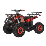 Coolster ATV-3125XR8-U/US – 125cc Utility ATV with Front & Rear Racks, Automatic Transmission mississippipowersports