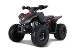 Trail Hawk Tao Tao 2023 – Youth ATV with Wireless Engine Shut Off & Disc Brakes mississippipowersports