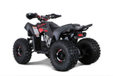 Trail Hawk Tao Tao 2023 – Youth ATV with Wireless Engine Shut Off & Disc Brakes mississippipowersports
