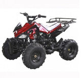 RPS JET 8 Cheetah-125cc ATV Air Cooled, Single Cylinder 4 stroke mississippipowersports