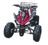 RPS JET 8 Cheetah-125cc ATV Air Cooled, Single Cylinder 4 stroke mississippipowersports