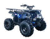 RIDER-10 125cc ATV, SINGLE CYLINDER,4 STROKE, AIR-COOLED mississippipowersports