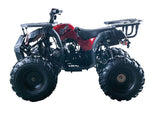 RIDER-10 125cc ATV, SINGLE CYLINDER,4 STROKE, AIR-COOLED mississippipowersports