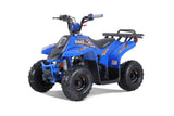 Tao Motor ROCK 110 ATV — 107cc Youth Automatic with Reverse mississippipowersports
