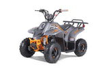 Tao Motor ROCK 110 ATV — 107cc Youth Automatic with Reverse mississippipowersports