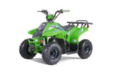Tao Motor ROCK 110 ATV — 107cc Youth Automatic with Reverse mississippipowersports
