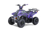 Tao Motor ROCK 110 ATV — 107cc Youth Automatic with Reverse mississippipowersports