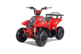 Tao Motor ROCK 110 ATV — 107cc Youth Automatic with Reverse mississippipowersports