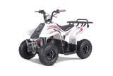 Tao Motor ROCK 110 ATV — 107cc Youth Automatic with Reverse mississippipowersports
