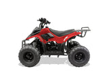 Tao Motor Boulder B1 110cc Kids ATV | Gas Powered Youth Quad with Safety Controls mississippipowersports