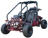 Tao Motor GK110 Go-Kart | 110cc Youth Off-Road Buggy with Reverse mississippipowersports