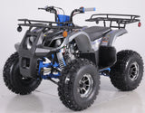 HHH T-FORCE PLATINUM 120cc ATV | TaoTao Gas Powered Youth Quad with Reverse mississippipowersports
