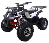 Tao Motor NEW T-Force 125cc Utility ATV — Automatic Mid-Size Family Quad mississippipowersports