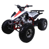 125cc Sporty Style ATV with Alloy Rims | Cheetah 125 ATV mississippipowersports