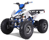 Tao Motor Cheetah Platinum 125cc ATV | Mid-Size Sport ATV for Youth
