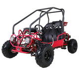 Tao Motor GK110 Go-Kart | 110cc Youth Off-Road Buggy with Reverse mississippipowersports