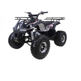 Tao Motor NEW T-Force 125cc Utility ATV — Automatic Mid-Size Family Quad mississippipowersports