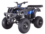 Tao Motor Rhino 250 – 197cc 4-Stroke Manual ATV with Reverse & Hydraulic Disc Brakes mississippipowersports