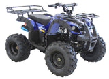 Rider-9 125cc – Youth Sport ATV with Electric Start, Hydraulic Brakes & 70 km/h Top Speed mississippipowersports
