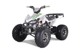 Tao Motor Cheetah Platinum 125cc ATV | Mid-Size Sport ATV for Youth mississippipowersports