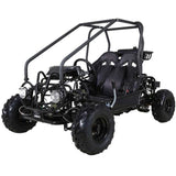 Tao Motor GK110 Go-Kart | 110cc Youth Off-Road Buggy with Reverse mississippipowersports