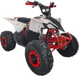 HHH 125cc Youth Utility ATV | Fully Automatic Gas Quad with Reverse & Big Tires (19"/18") mississippipowersports