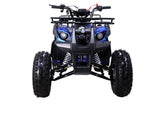 Tao Motor NEW T-Force 125cc Utility ATV — Automatic Mid-Size Family Quad mississippipowersports