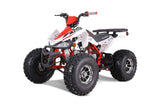 Tao Motor Cheetah Platinum 125cc ATV | Mid-Size Sport ATV for Youth mississippipowersports