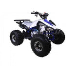 125cc Sporty Style ATV with Alloy Rims | Cheetah 125 ATV mississippipowersports