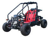 Tao Motor GK110 Go-Kart | 110cc Youth Off-Road Buggy with Reverse mississippipowersports