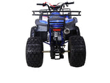 Tao Motor NEW T-Force 125cc Utility ATV — Automatic Mid-Size Family Quad mississippipowersports