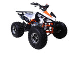 125cc Sporty Style ATV with Alloy Rims | Cheetah 125 ATV mississippipowersports