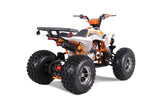 Tao Motor Cheetah Platinum 125cc ATV | Mid-Size Sport ATV for Youth mississippipowersports