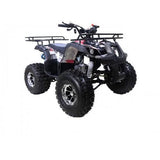 Tao Motor NEW T-Force 125cc Utility ATV — Automatic Mid-Size Family Quad mississippipowersports