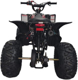HHH 125cc Youth ATV | Fully Automatic Gas Four Wheeler with Reverse & Big Tires (19"/18") mississippipowersports